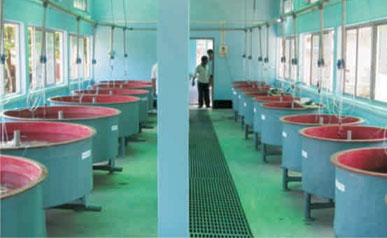 Hatchery