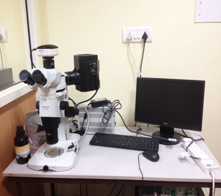 Aquatic Radiolecology Lab Image6