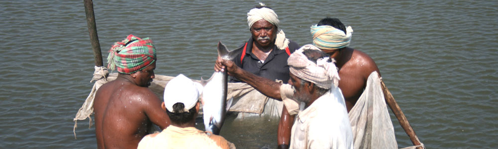 Powarkheda Centre