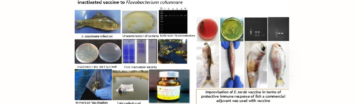 Aquatic Environment