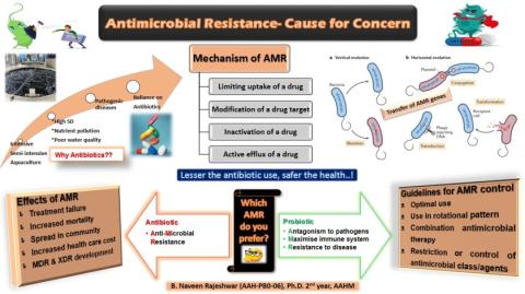 National campaign on antimicrobial resistance in fish in 22 to 24 nov 2021