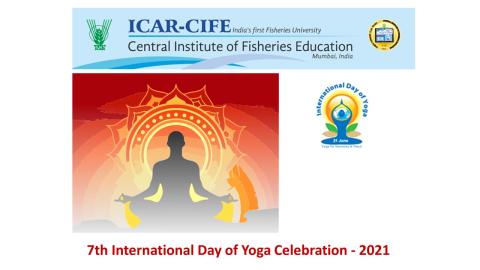 image of Celebration of 7th International Day of Yoga 21st June 2021