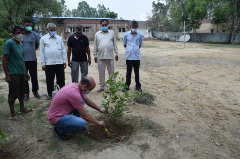 Report on Plantation Drive on ICAR’s 93rd Foundation Day